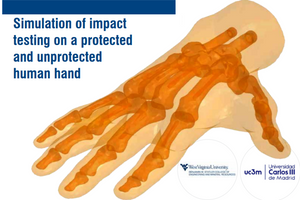 Simulation of impact testing on a protected and unprotected human hand